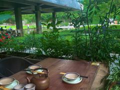 -缘生态云南菜·野生菌庭院餐厅(华侨城店)