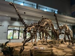-自贡恐龙博物馆