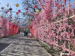 -北京凤凰岭
