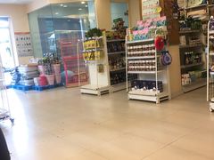 -可蒙动物医院·猫科·骨科中心(首义路店)