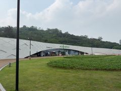 -野狸岛