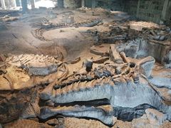 -自贡恐龙博物馆