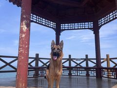 -长岛南北长山旅游景区