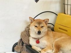 -About Bistro關於·泰式家庭料理