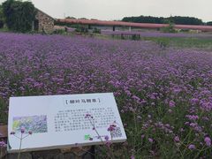 -江苏三台山国家森林公园