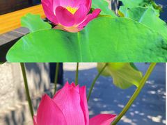 -西安市广仁寺