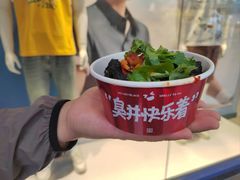-黑色经典臭豆腐·湖南特产(潇湘文化店)
