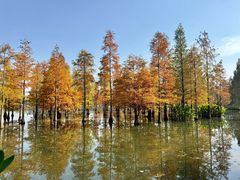 -白鹭湾湿地公园