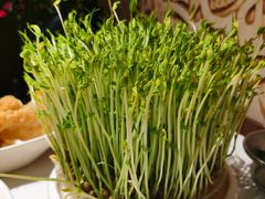 -葛记红焖羊肉(和平路形象店)