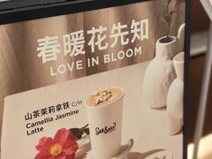 -Seesaw Coffee(上海国金中心店)