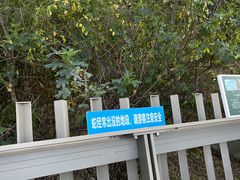 -福道