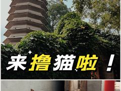 -万松老人塔