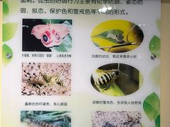 -上海昆虫博物馆
