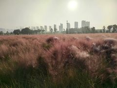 -映月湖中央公园