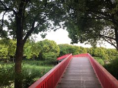 -美兰湖景区