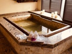 -春晖园度假酒店温泉