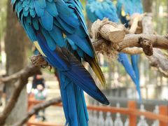 -北京野生动物园