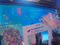 -烟台海昌鲸鲨海洋公园