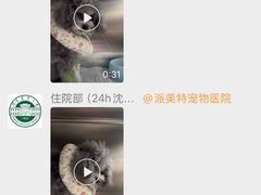 -派美特宠物医院·核磁CT·骨科肿瘤·疑难转诊(沈农禾丰店)