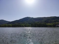 -长广溪湿地公园