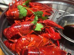 贵妃虾-0574龙虾的故事(东裕店)