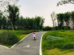 -府河摄影公园