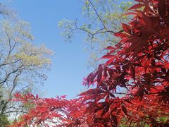 -大连植物园