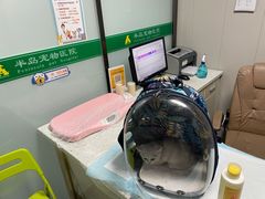 -半岛宠物医院24小时(科华中路店)