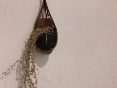 -Ginko银子(青龙街店)