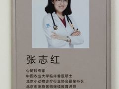 -美联众合动物医院·24h转诊中心