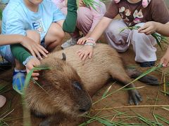 -西霞口神雕山野生动物世界