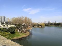 -尚贤河湿地