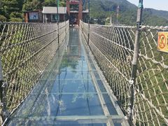 -梦幻奥陶纪景区