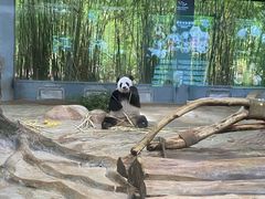 -海南热带野生动植物园