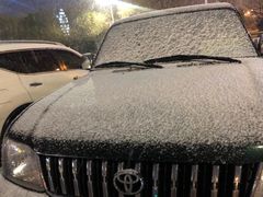 -蒙亨·手把肉·蒙古包文化主题餐厅(天恒广场店)