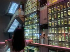 -广东中医药博物馆