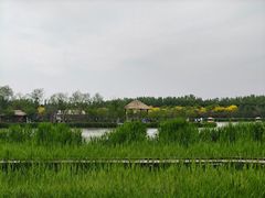 -西青郊野公园