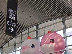 -广州白云国际机场-T2航站楼