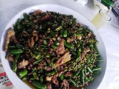 -铁山坪森林公园