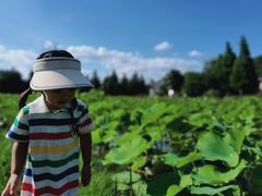 -贵阳市花溪国家城市湿地公园