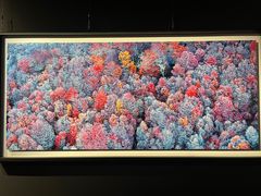 -罗红摄影艺术馆