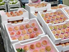 -西郊国际农产品交易中心