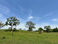 -良渚古城遗址公园