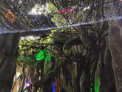 -横店影视城梦幻谷园区