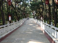-林海公园