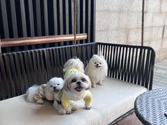 -上海崇明金茂凯悦酒店