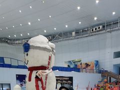 -哈尔滨热雪奇迹