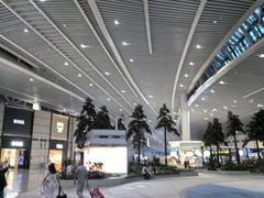 -青岛胶东国际机场