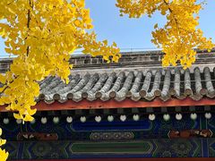 -北京国子监胡同