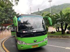 -深圳仙湖植物园